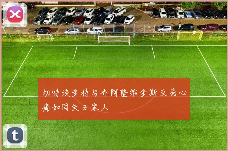 切特谈多特与乔阿隆维金斯交易心痛如同失去家人